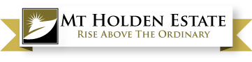 You are currently viewing Mt Holden Estate Sunbury – working with developers
